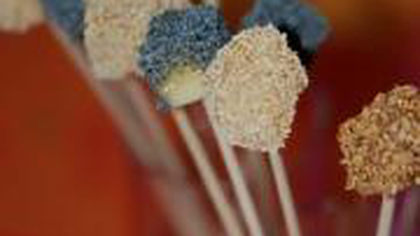 Brochettes apéritives