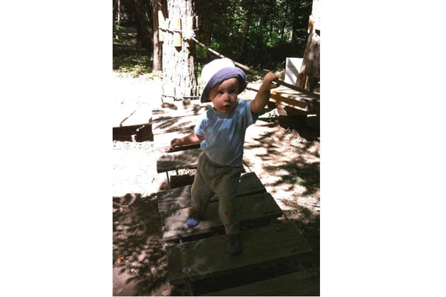 Découverte de l'accrobranche