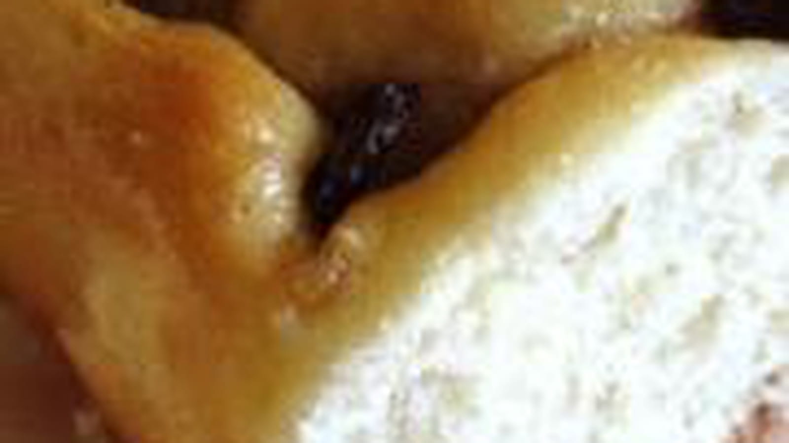 Brioche roulée aux raisins et écorces confites