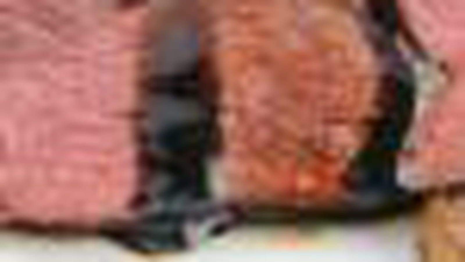 Magret de canard
