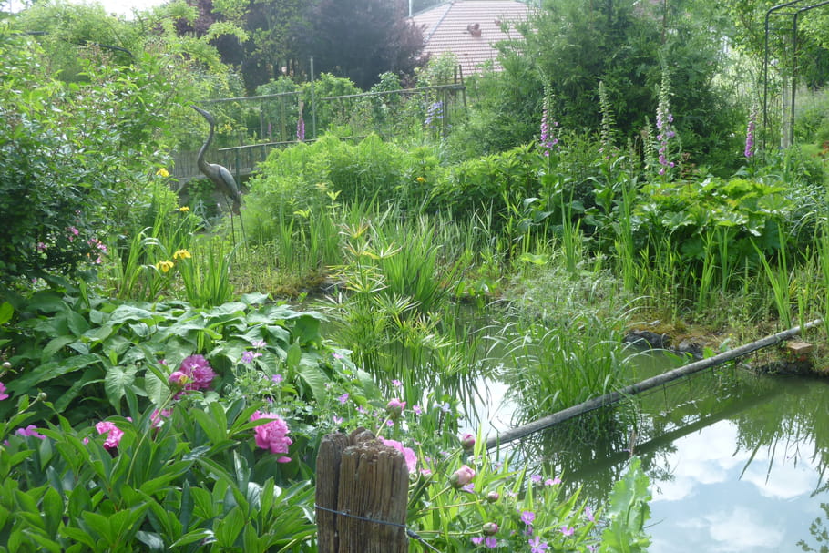 Que faire au jardin en mai ?