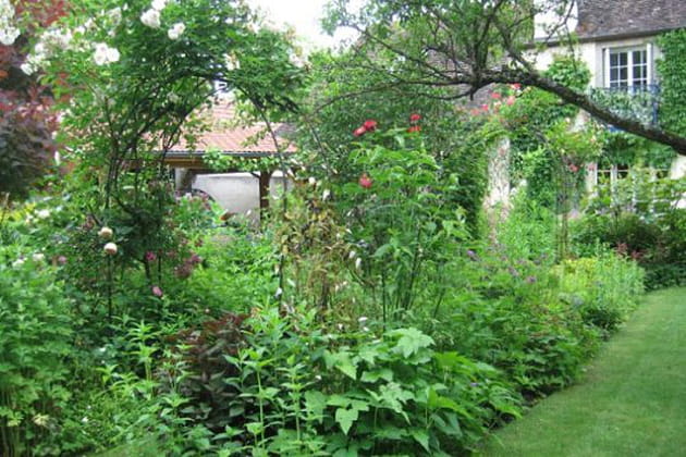 Un beau Sourire d'orchidée