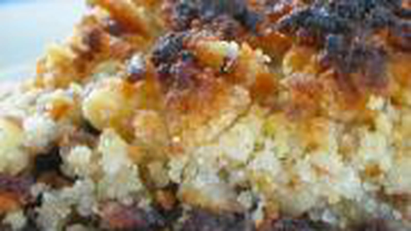 Crumble au chocolat