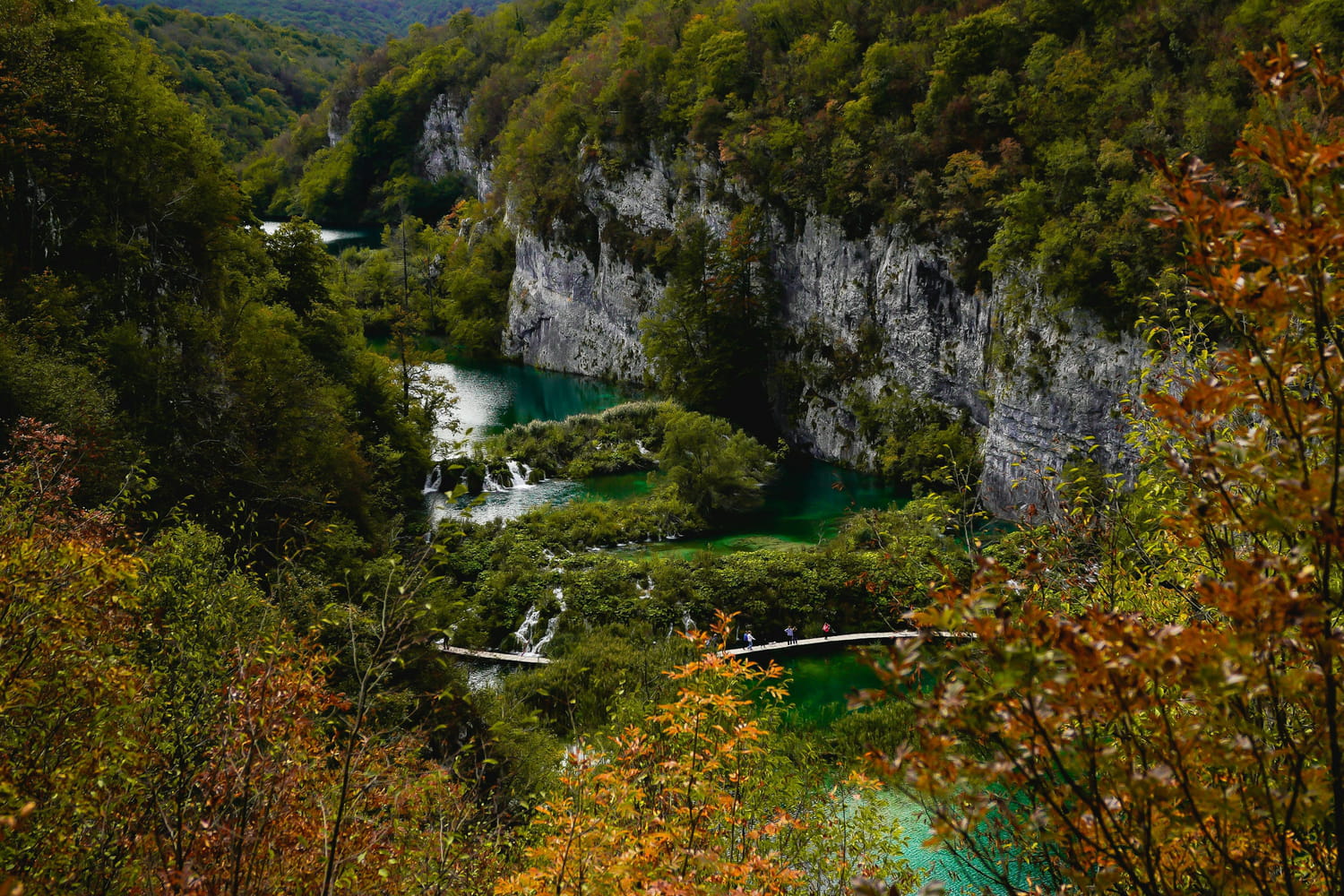 Leaves rustle around her