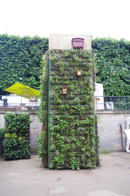 De la v&eacute;g&eacute;tation sur le mur