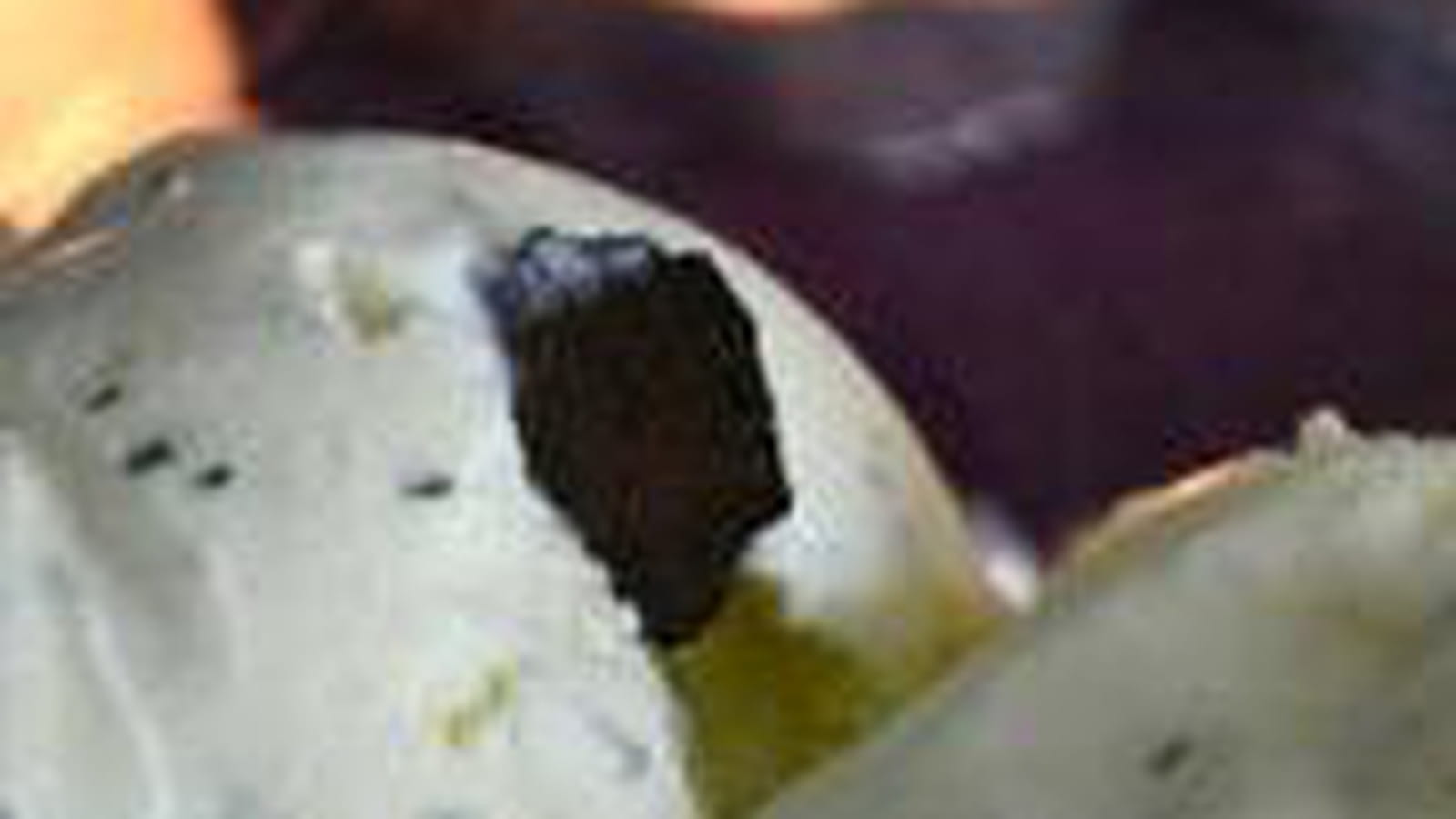 Glace mascarpone menthe, truffe