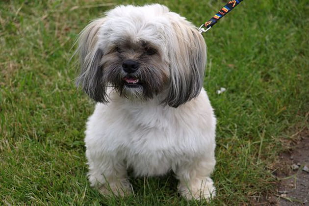 Quel bel Apollon&nbsp;!