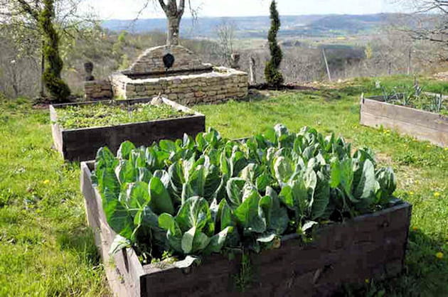 Un potager carré