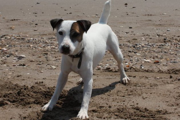 Quel comédien, ce Clyve !