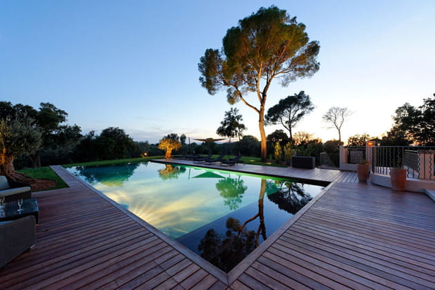 Piscine de nuit : trophée d'argent