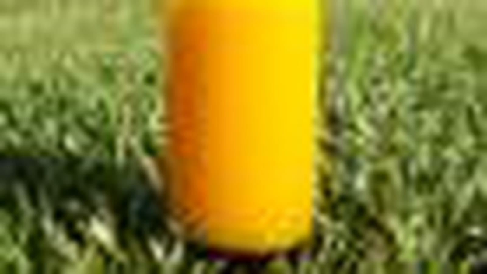 Crème de carottes au cumin, coulis d'orange poivrée