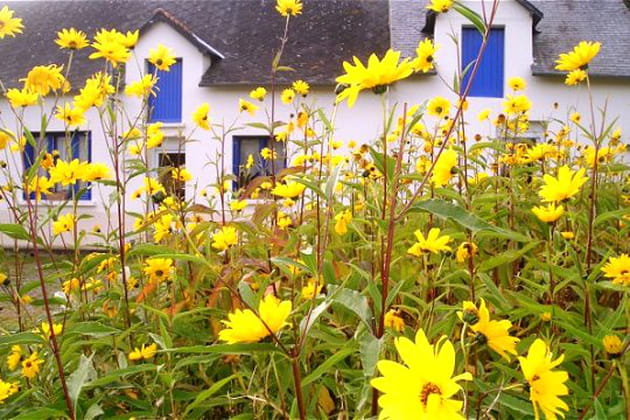 Un rêve devenu réalité