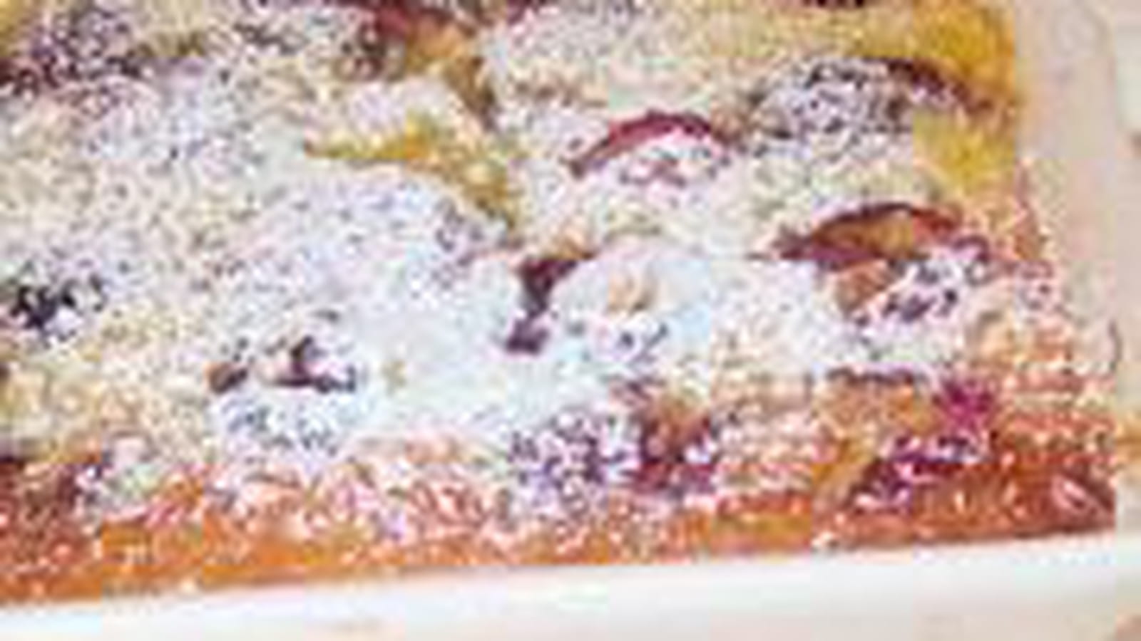 Clafoutis aux cerises