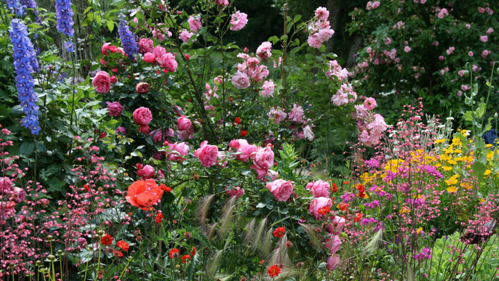 Jardin de Caradec
