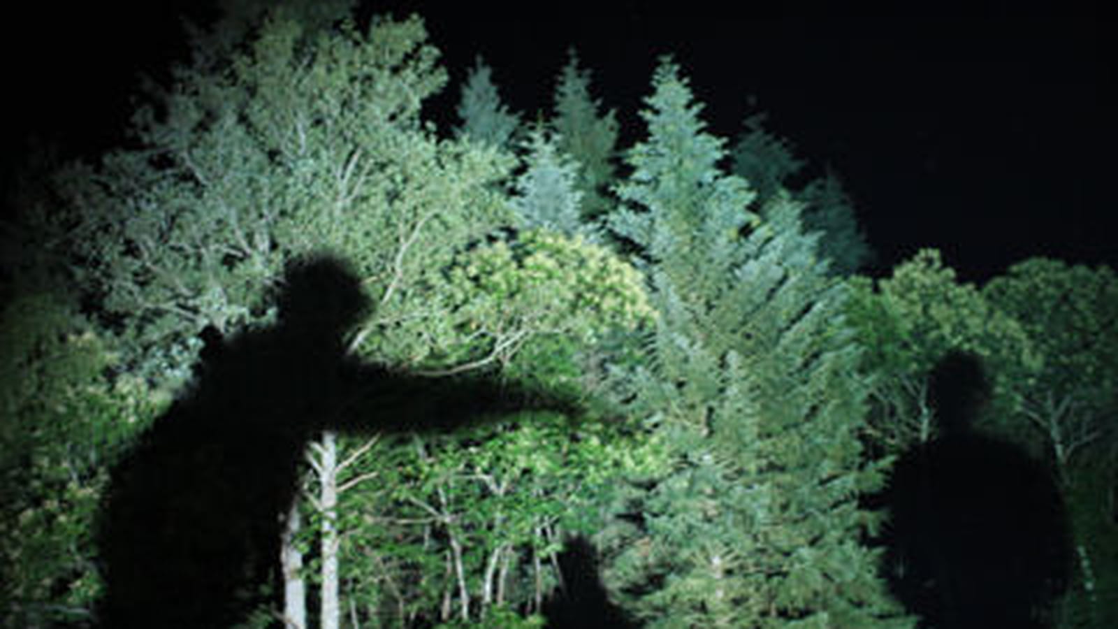 Son et lumière