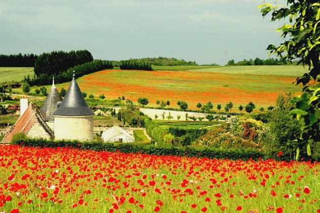 Le Jardin des Jouissances
