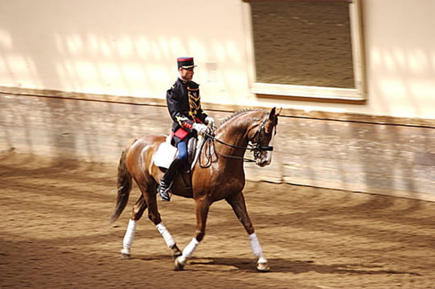 S&eacute;ance de dressage