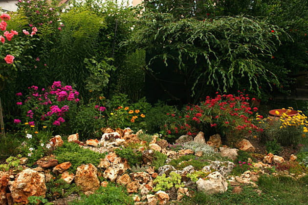 La rocaille en août