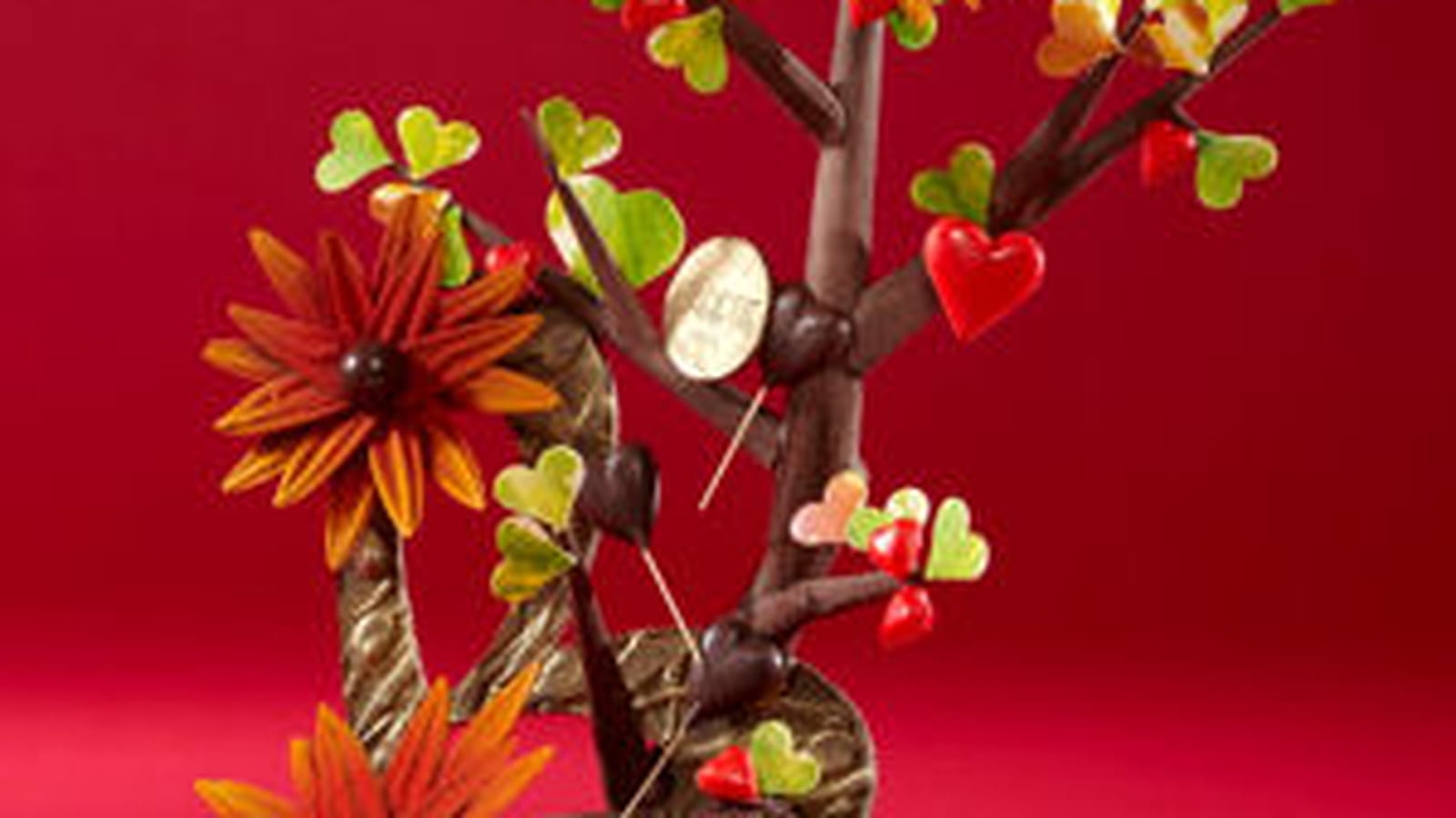 Bouquet chocolat de Carette