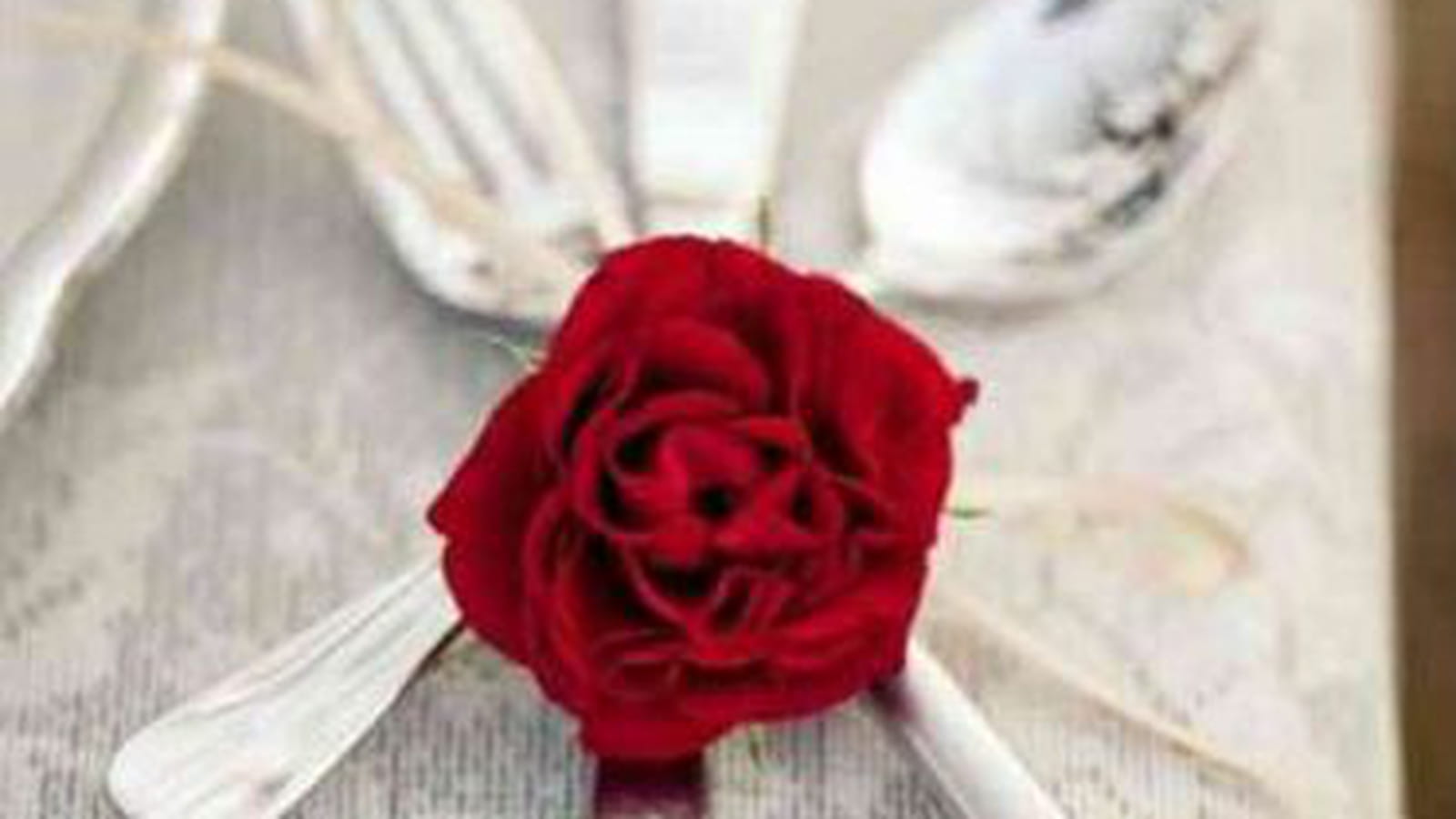 Couverts avec une rose