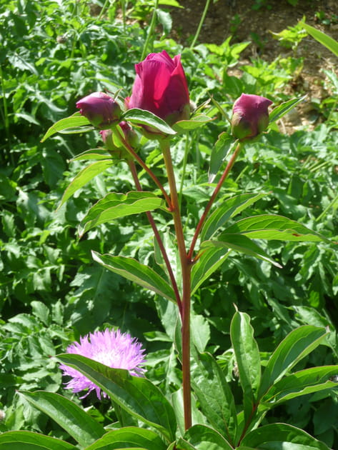 Une passion à plein temps