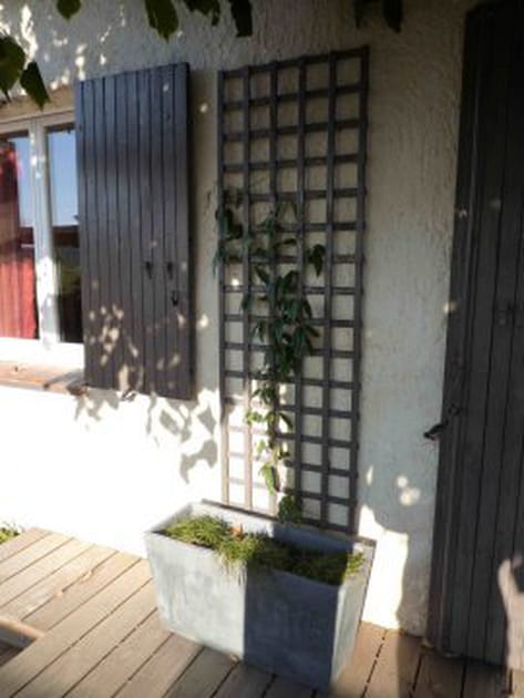 Des plantes pour habiller la fa&ccedil;ade