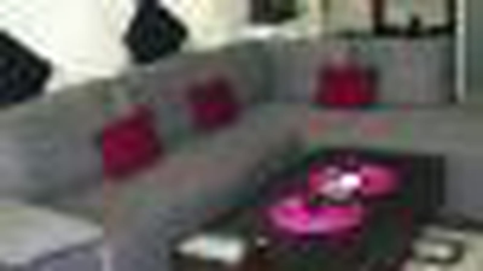 Le salon de Sophie