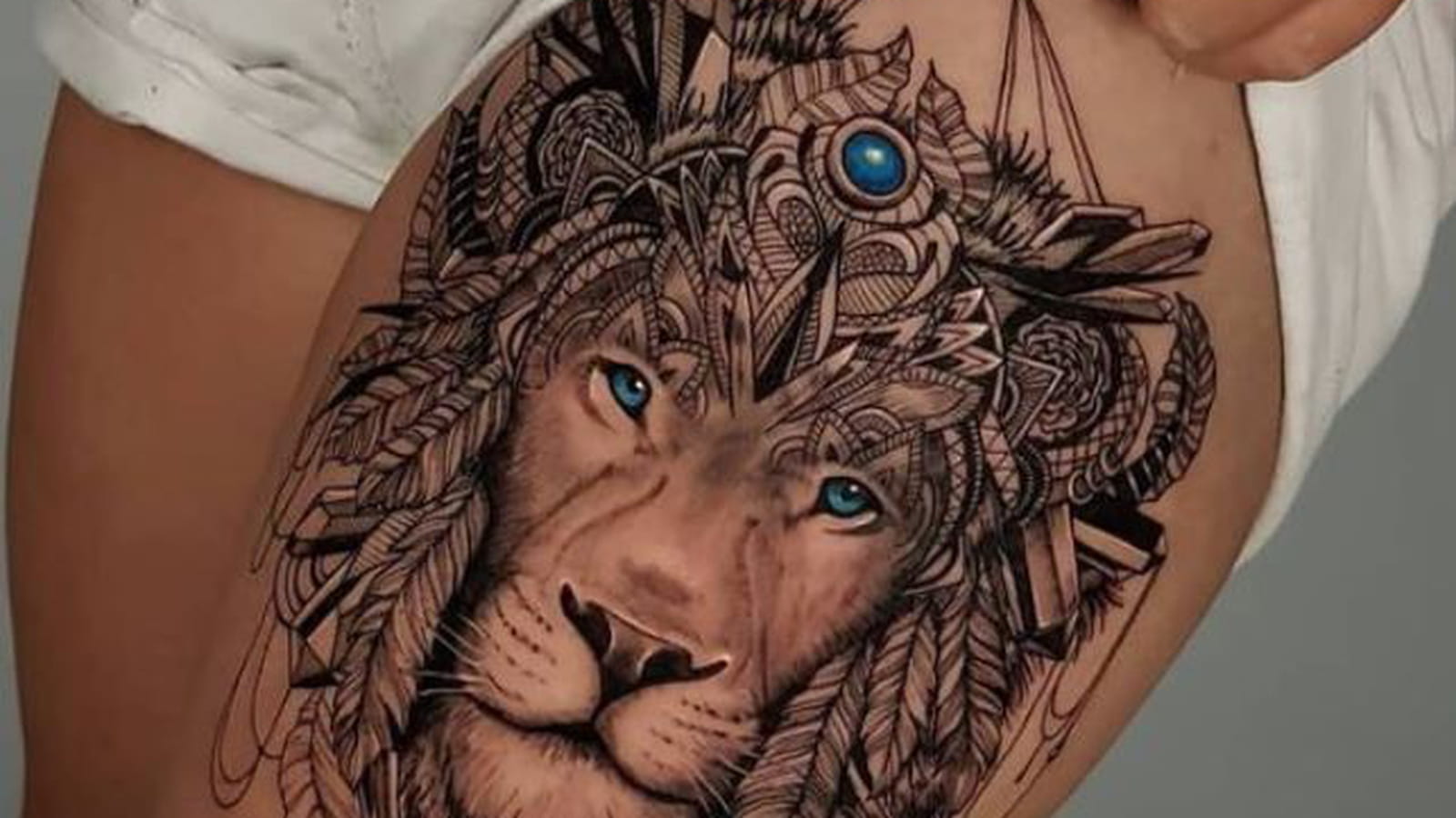 Le lion majestueux