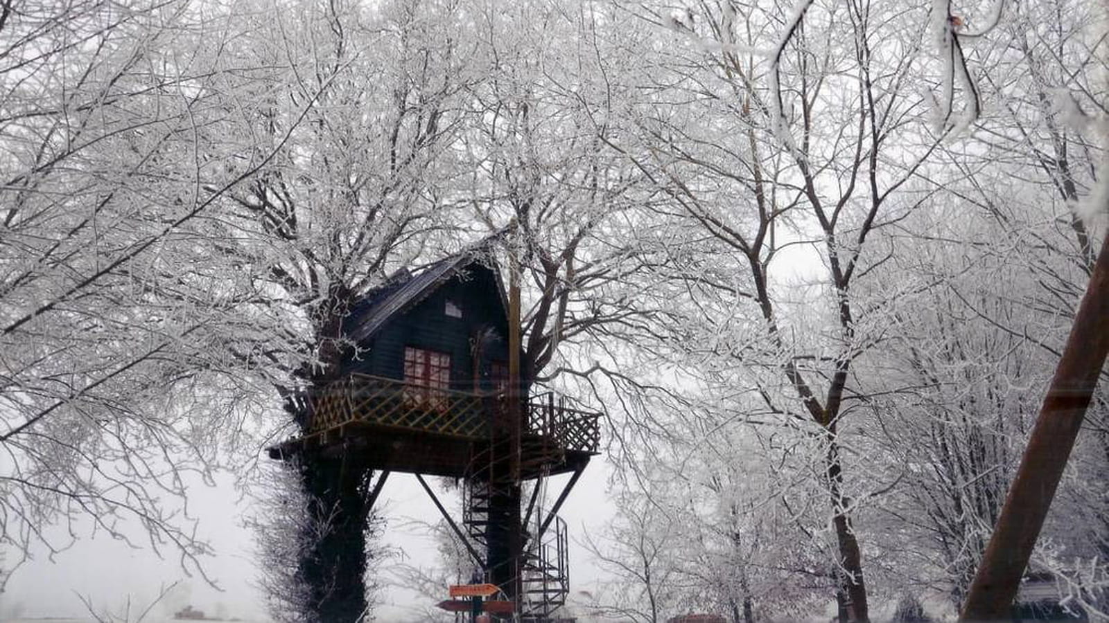 Cabane perchée