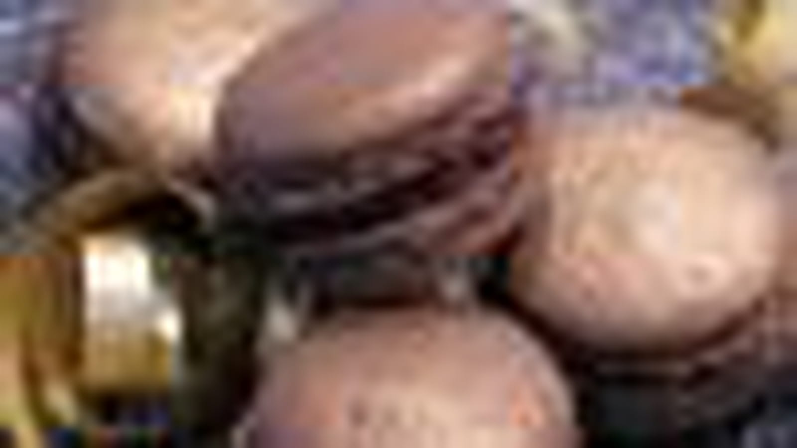 Macarons