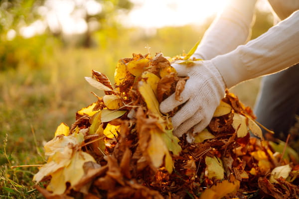 ramasser-feuilles-mortes