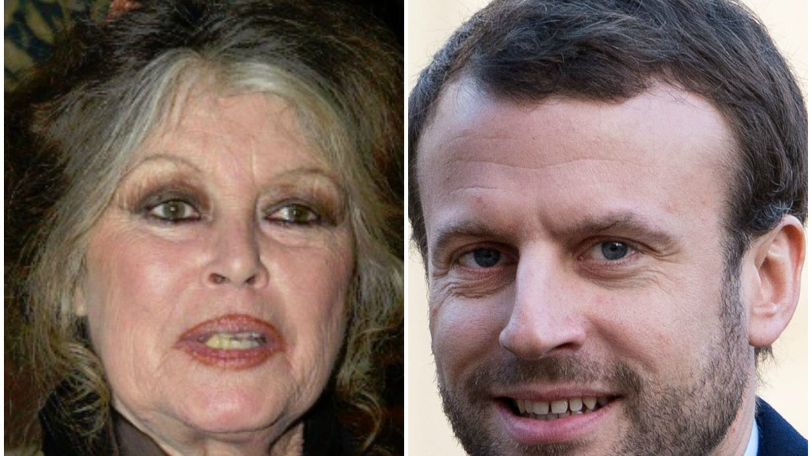 Brigitte Bardot et Emmanuel Macron 