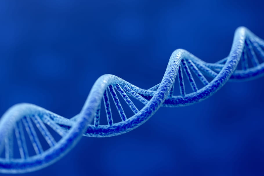 Maladies génétiques : liste, transmission, diagnostic