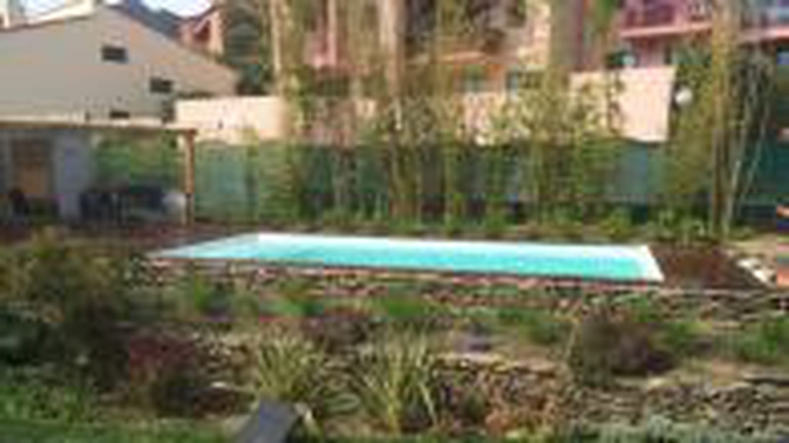 Piscine et bambous