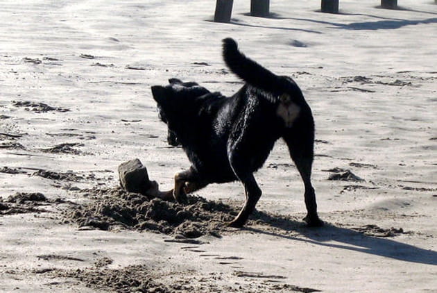 Les ch&acirc;teaux de sable