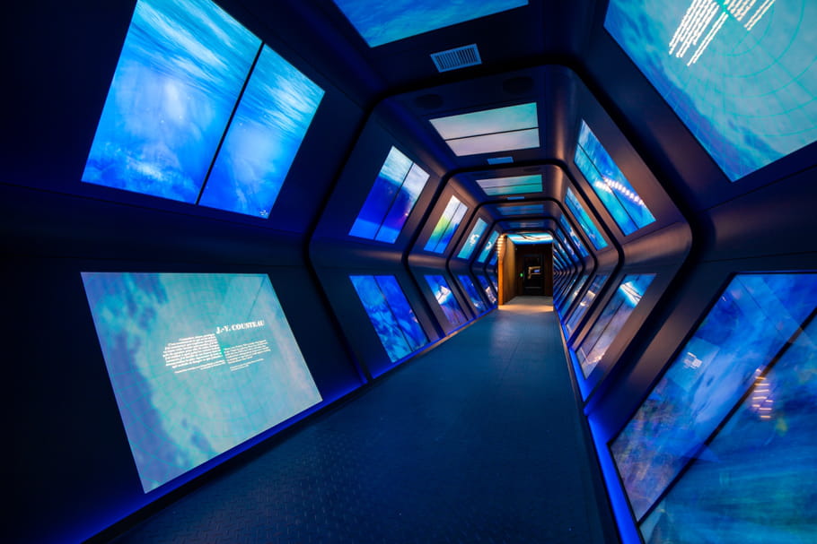 Musée océanographique de Monaco, un voyage au cœur des fonds marins
