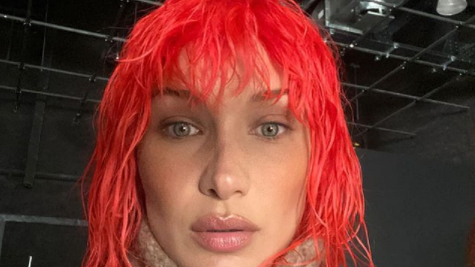 Bella Hadid