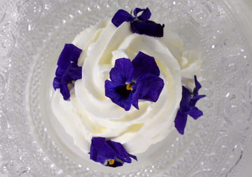 Meringue glacée et sorbet maison