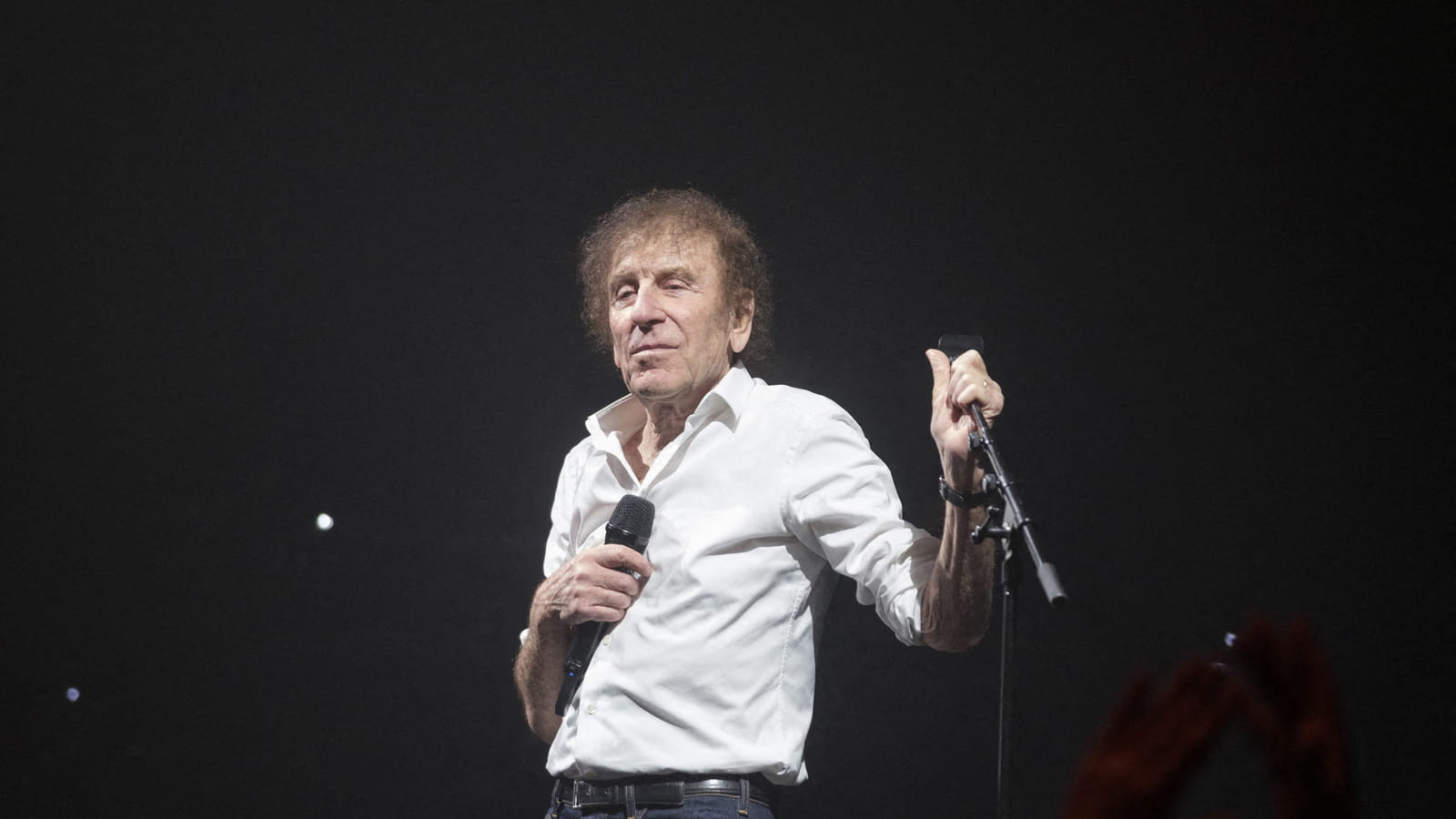Alain Souchon