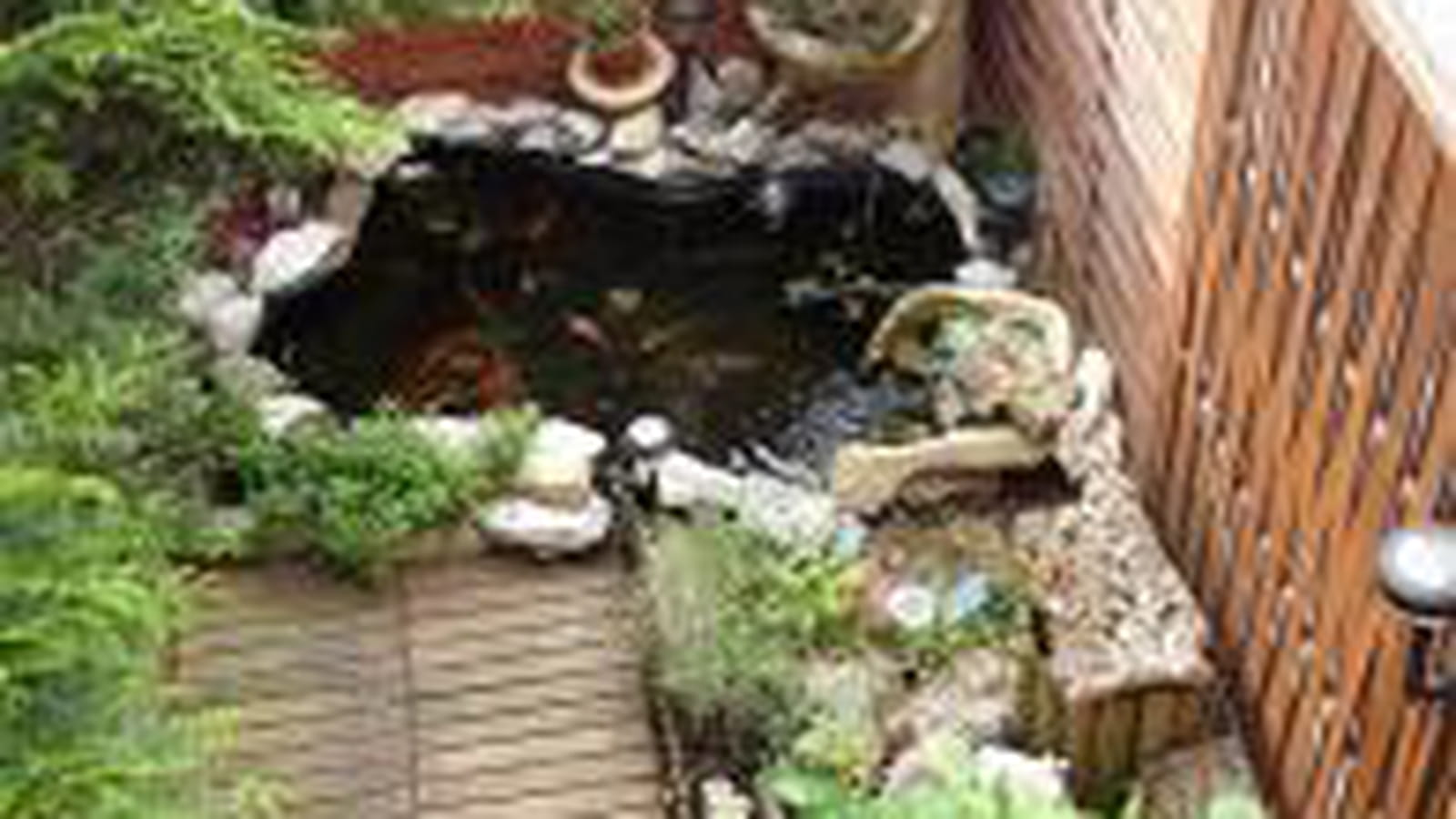 Bassin de 700 litres