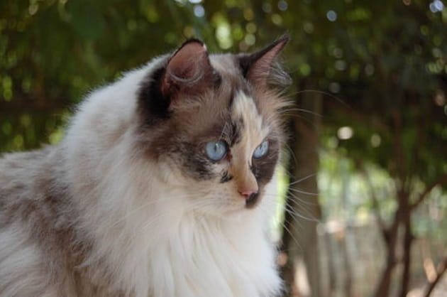 Fanny dans l'attente