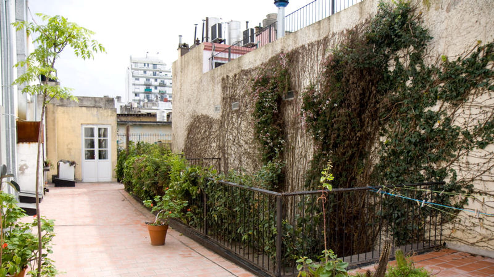 La terrasse