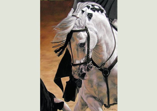 Le cheval, majestueux