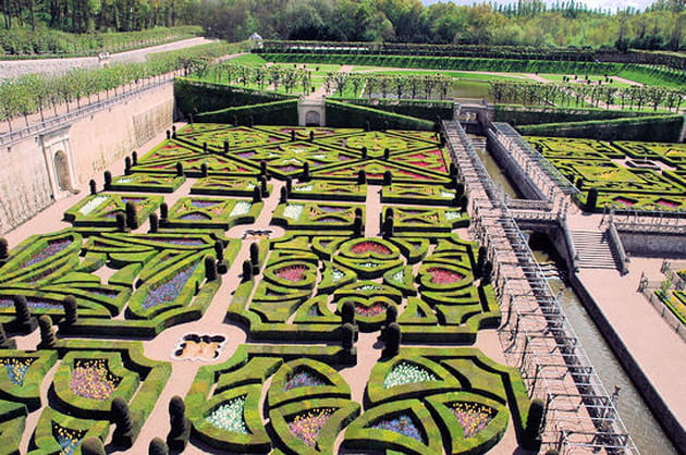 Des tulipes de toutes les couleurs