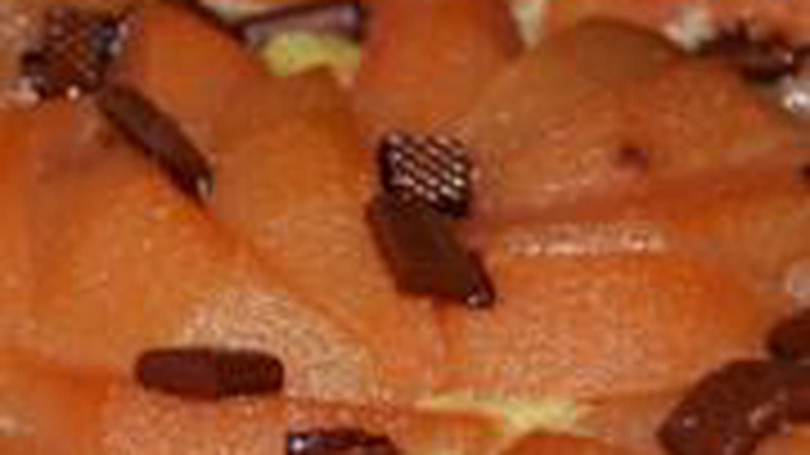 Tarte aux poires amandine