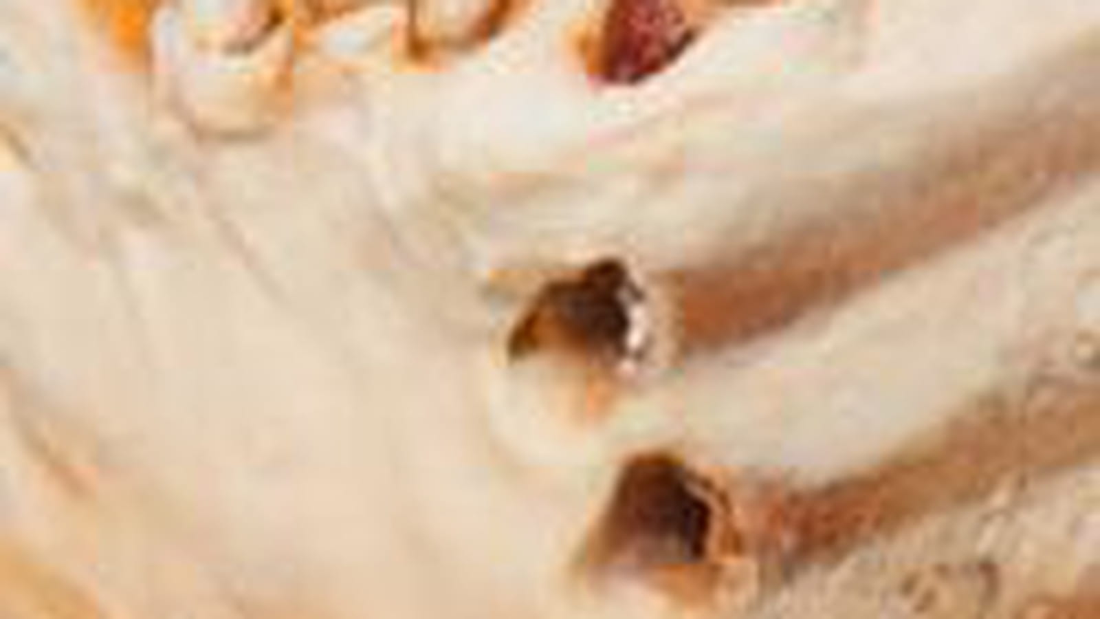 Tiramisu amaretto amandes