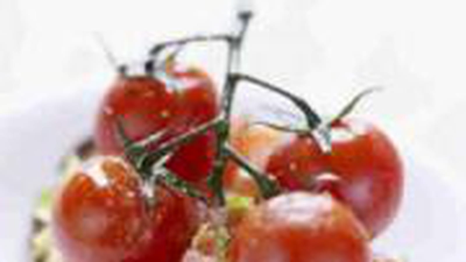 Crostini aux deux tomates