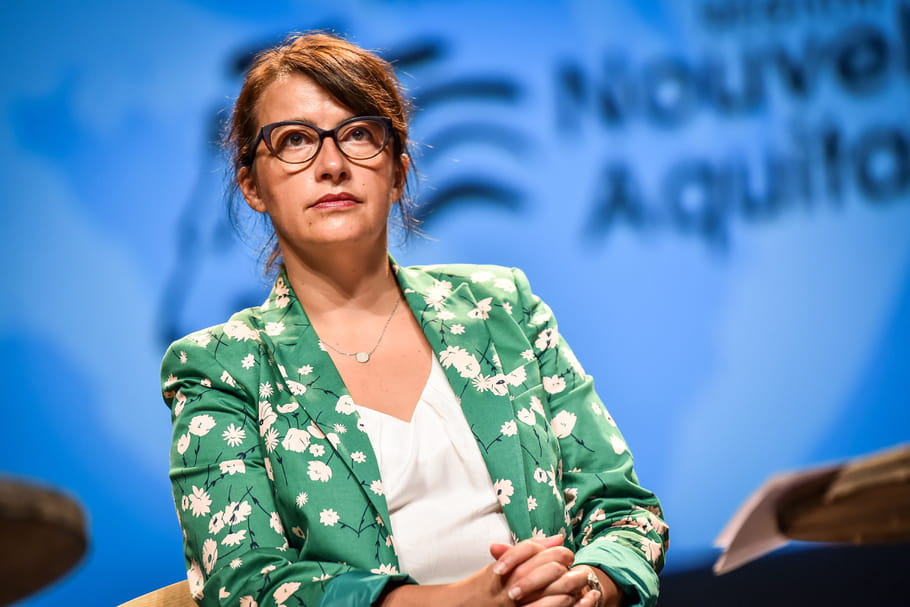 Affaire Denis Baupin : Cécile Duflot, agressée sexuellement ?