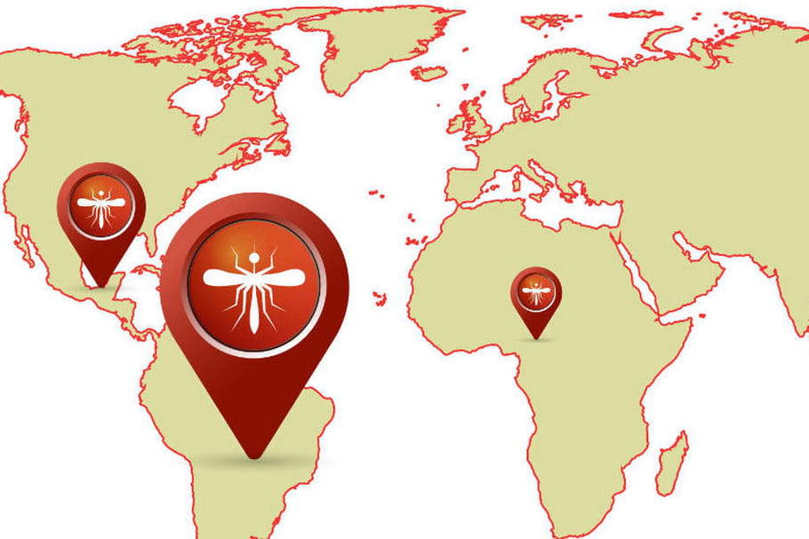 5 choses à savoir sur le virus Zika