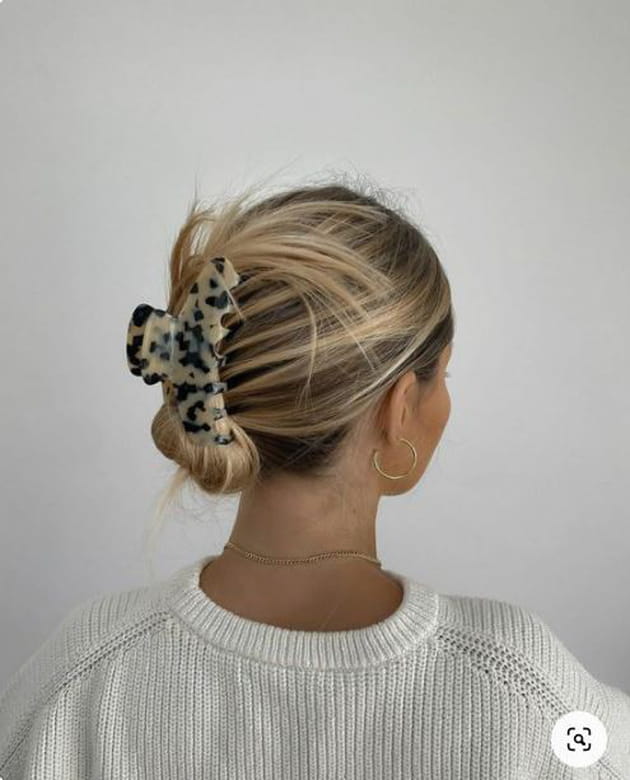 La pince à cheveux